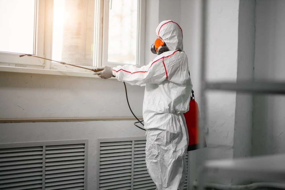 Professional mold remediation services in Romayor, TX